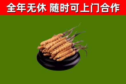 瑞丽回收冬虫夏草